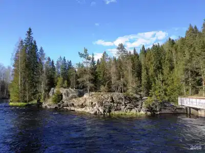 Хекселя - 49