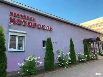 Которосль - 16