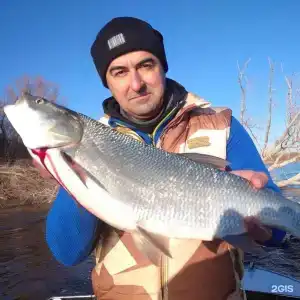 Эко-Порт - 40