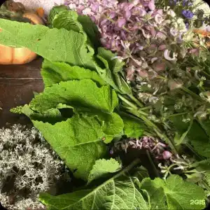 Агроферма Точка Отдыха - 87