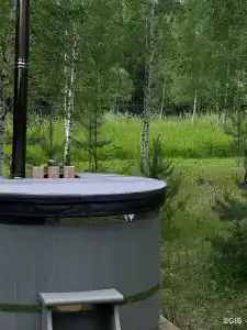 Дыши лесом - 24