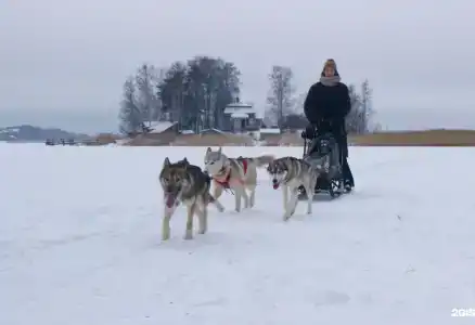 Ботхаус - 38