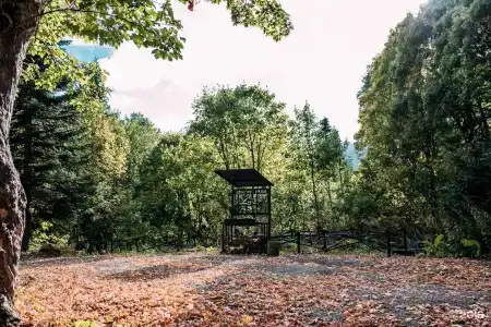 Яворова Park - 31
