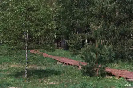Клюква - 35