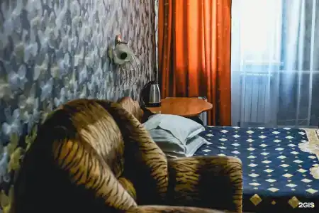 Богородское - 5