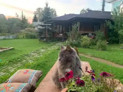 Домик на Березовой 6 - 3