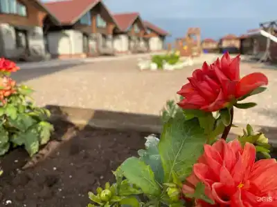 Красный кот - 59