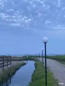 Красный кот - 75