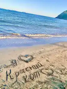 Красный кот - 39