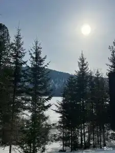 Телецкое Золотое - 83