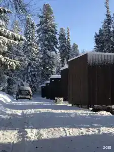 Телецкое Золотое - 56