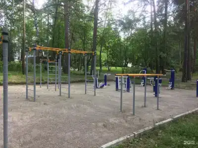 Ельцовка - 13