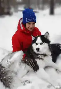 Маламут Ленд - 48