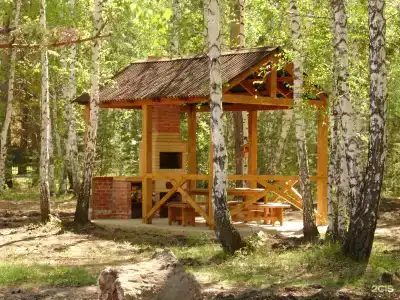 Мечта - 38