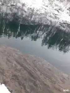 Лисья нора - 17