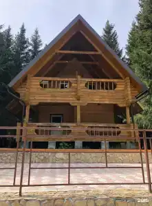 Лесовичок - 53