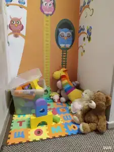 Сова - 4