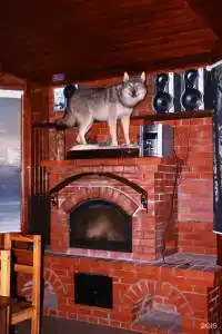Ям - 103