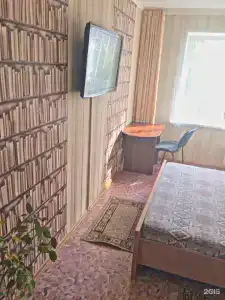 Панда на Батурина 5д - 5