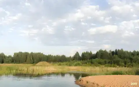 Дом у леса - 9