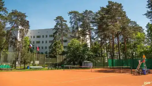 Сосны - 0