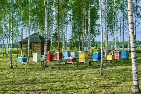 Мазаная Горка - 19
