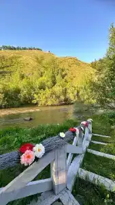 Базаиха River - 0