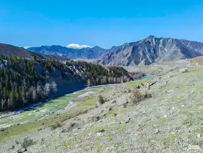 Эдельвейс глэмп - 13