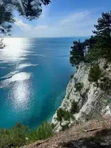 Клевер Удачи - 4