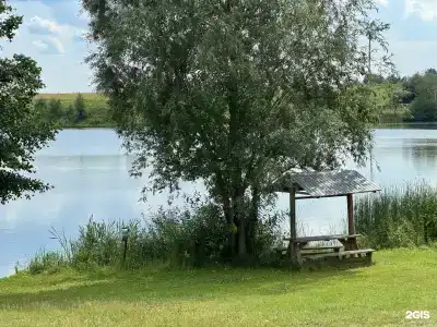 Золотая Рыбка - 1
