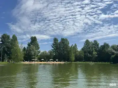Тропикана Парк - 27