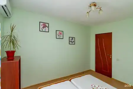 Новелла - 6