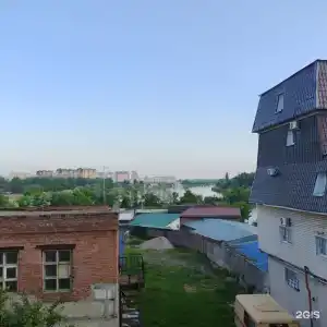 Лилия - 5