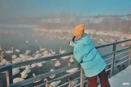 Манжерок - 111