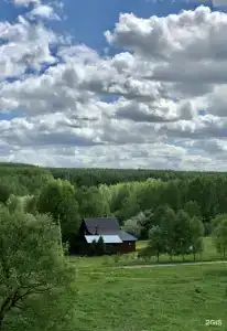 Гостевой дом в деревне Светлицы - 15