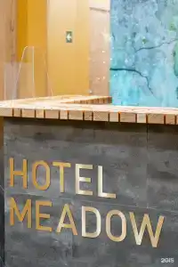 Meadow - 44