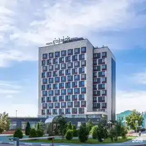 Cosmos Novosibirsk Hotel - 63