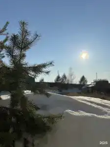 У дяди Саши - 2