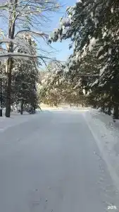 Углич - 64