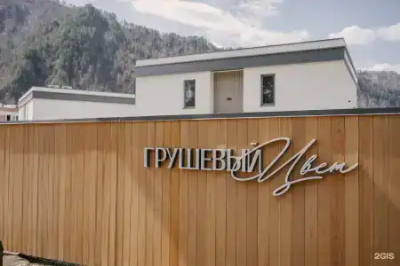 Грушевый цвет - 1