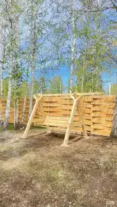 Зелёный бор - 31