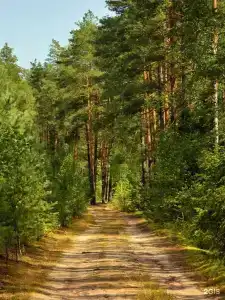 Отражение - 19