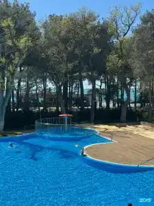 Приморье Grand Resort - 118