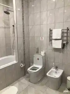 Спутник - 100