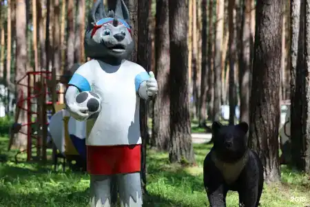 ДухЛес - 81
