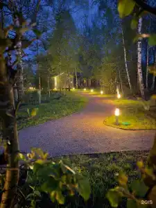 Восемь обезьян - 22