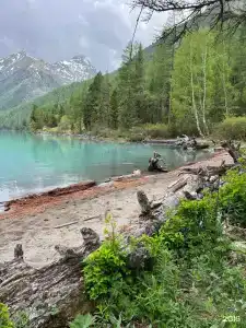 Тюнгур - 40