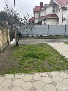 Жасмин2 - 15