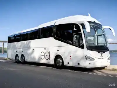 Давид - 36