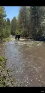 Кемпинг На Поляне - 89